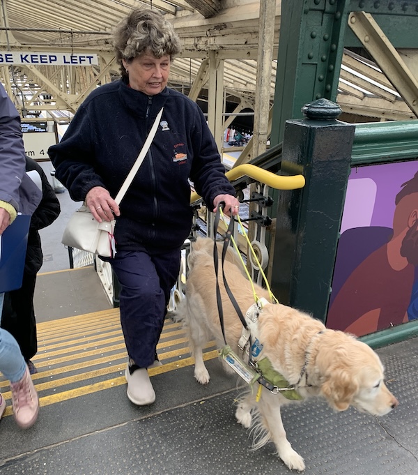 Woman walking up steps in train station with assistance dog.